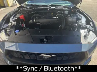 Ford Mustang 2025 EcoBoost 2dr Convertible