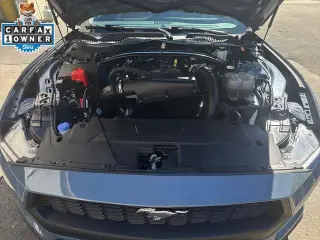 Ford Mustang 2025 EcoBoost 2dr Convertible