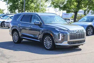 Hyundai PALISADE 2024 AWD Calligraphy 4dr SUV
