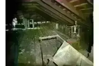 PEST CONTROL