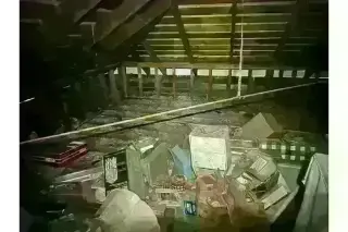 PEST CONTROL