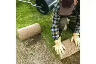 CANALEZ GARDENING SERVICES
