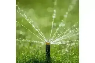 CANALEZ GARDENING SERVICES