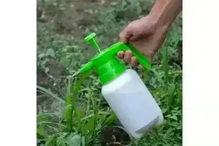 CANALEZ GARDENING SERVICES