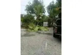 CANALEZ GARDENING SERVICES