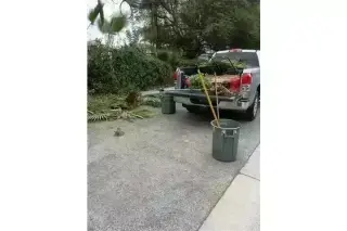 CANALEZ GARDENING SERVICES