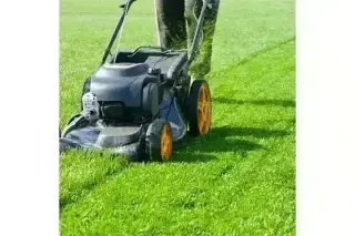 CANALEZ GARDENING SERVICES