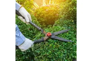 ¿NECESITA UN JARDINERO EN OC?