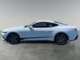 Ford Mustang 2024 EcoBoost 2dr Fastback