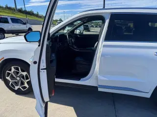 Hyundai PALISADE 2022 Calligraphy 4dr SUV