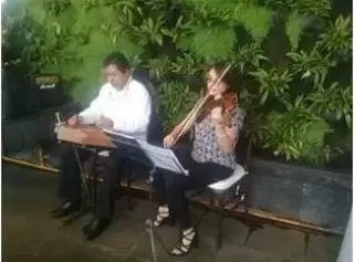 Violinista en CDMX