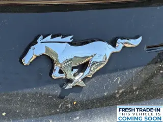 Ford Mustang 2023 EcoBoost 2dr Convertible