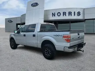Ford F-150 2014 4x4 FX4 4dr SuperCrew Styleside 5.5 ft. SB