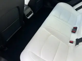 Tesla Model 3 2020 Standard Range Plus 4dr Sedan