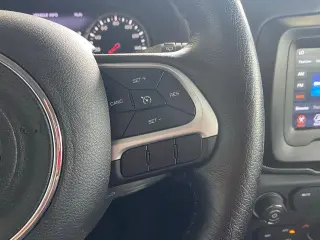 Jeep Renegade 2020 4x4 Trailhawk 4dr SUV