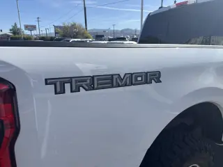 2025 Ford Super Duty F-350 SRW Platinum