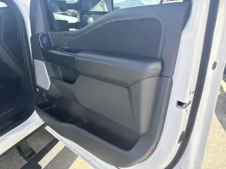 2025 Ford Super Duty F-350 SRW Platinum