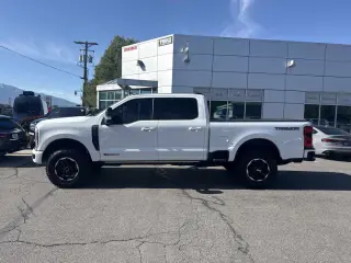 2025 Ford Super Duty F-350 SRW Platinum