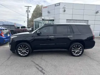 2019 Cadillac Escalade Premium Luxury