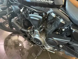 2022 Harley Davidson Nightster