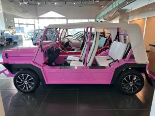 2022 Moke LSV