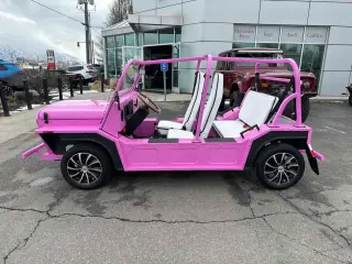 2022 Moke LSV