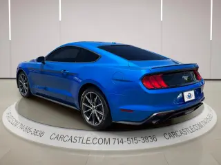 2019 Ford Mustang