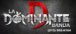 BANDA DOMINANTE RCR