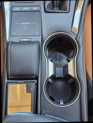 2020 LEXUS NX 300