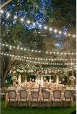 Alquiler de luces de feria