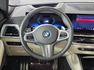 2025 BMW X6