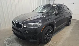 2019 BMW X6