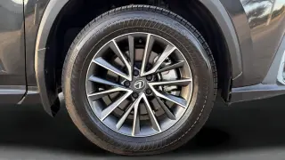 2025 LEXUS NX 350