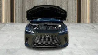 2026 LEXUS RX 350