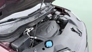 2021 Honda Passport