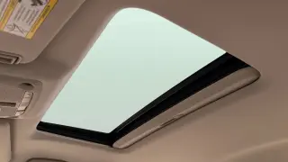 2019 INFINITI QX80