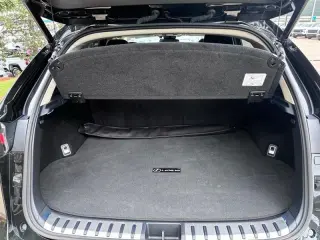 2021 Lexus NX 300h