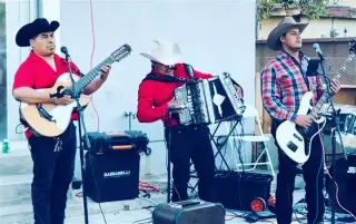 🎶  ACENDADO NORTEÑO 🎶