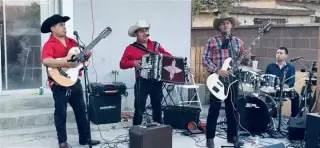 🎶  ACENDADO NORTEÑO 🎶