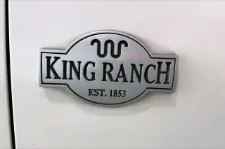 Ford Expedition 2020 4x4 King Ranch 4dr SUV