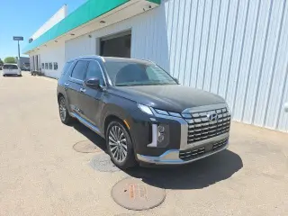 Hyundai PALISADE 2024 AWD Calligraphy 4dr SUV