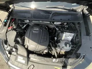 Audi Q5 2019 AWD quattro Premium 45 TFSI 4dr SUV