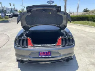 Ford Mustang 2019 EcoBoost 2dr Fastback