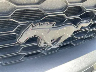 Ford Mustang 2019 EcoBoost 2dr Fastback