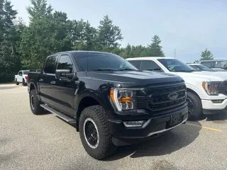 Ford F-150 2022 4x4 Platinum 4dr SuperCrew 5.5 ft. SB