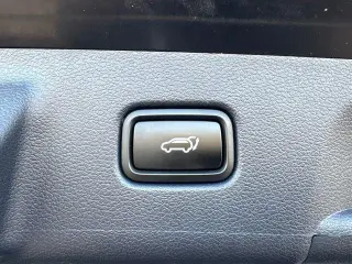 Hyundai PALISADE 2024 Calligraphy 4dr SUV