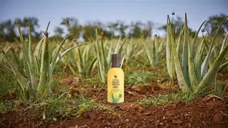 Aloe Vera productos en linea
