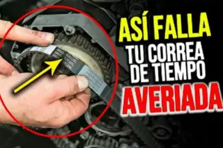 SOCIO con INICIATIVA y Sin $$