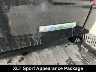 Ford F-150 2020 4x4 XLT 4dr SuperCrew 5.5 ft. SB