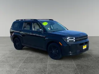 Hyundai SANTA FE Hybrid 2024 Calligraphy 4dr SUV